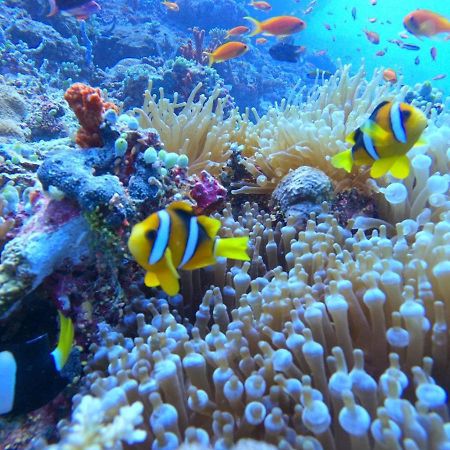 White Coral Rasdhoo Hotel Екстериор снимка